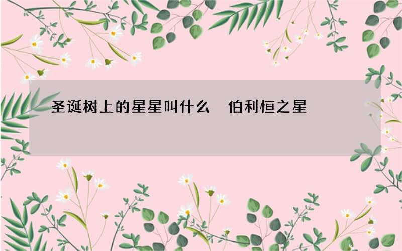 圣诞树上的星星叫什么 伯利恒之星